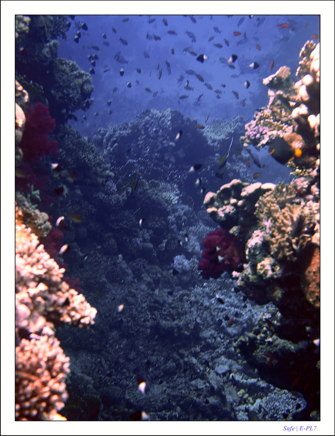 2023 - 03 - Charm El Sheikh - 21